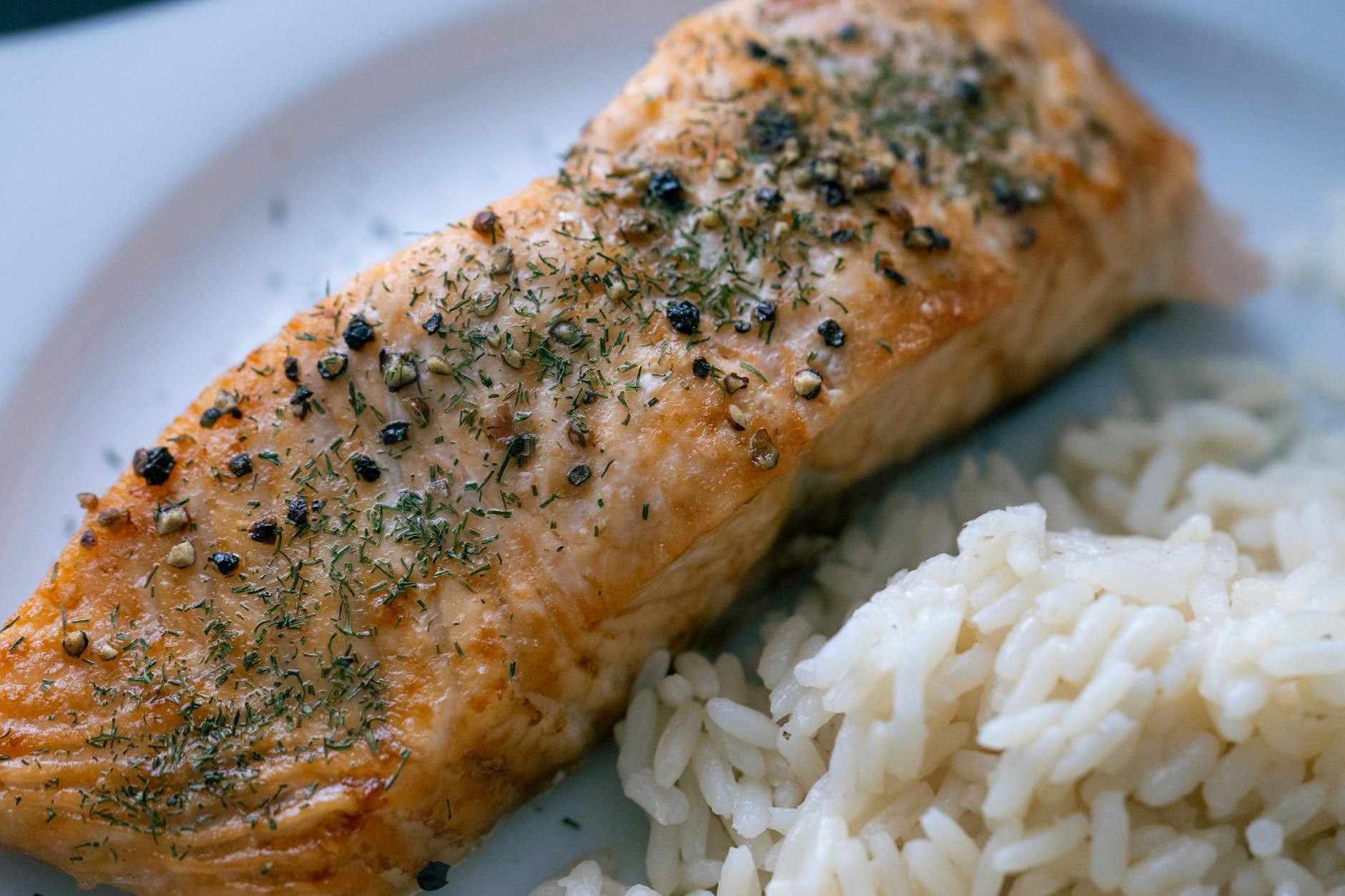 salmon dinner ideas - 15 Brilliant Salmon Dinner Ideas for Any Style